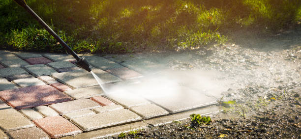 Animal Enclosure Cleaning in Hughson, CA